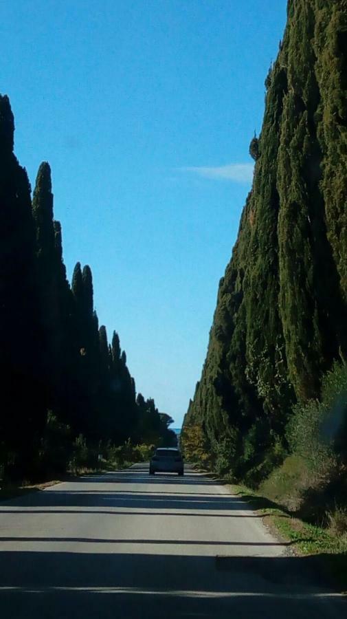 Torre Rossa Lägenhet Bolgheri Exteriör bild
